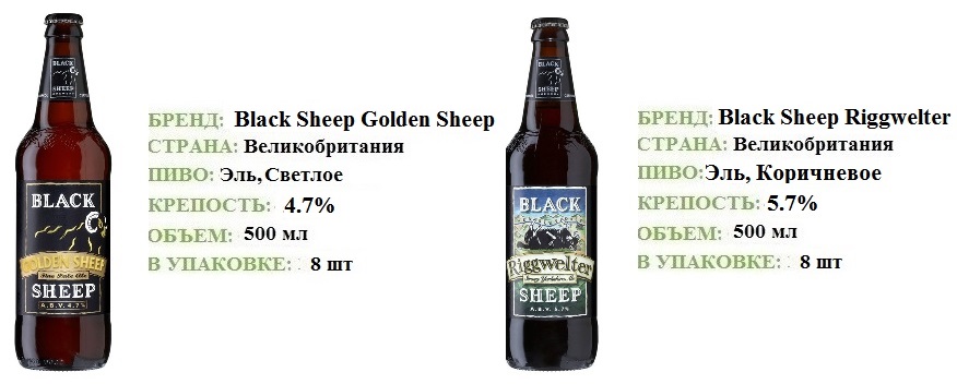 Пиво Блэк Шип (Black Sheep)