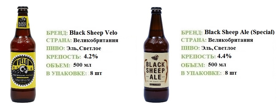 Пиво Блэк Шип (Black Sheep)